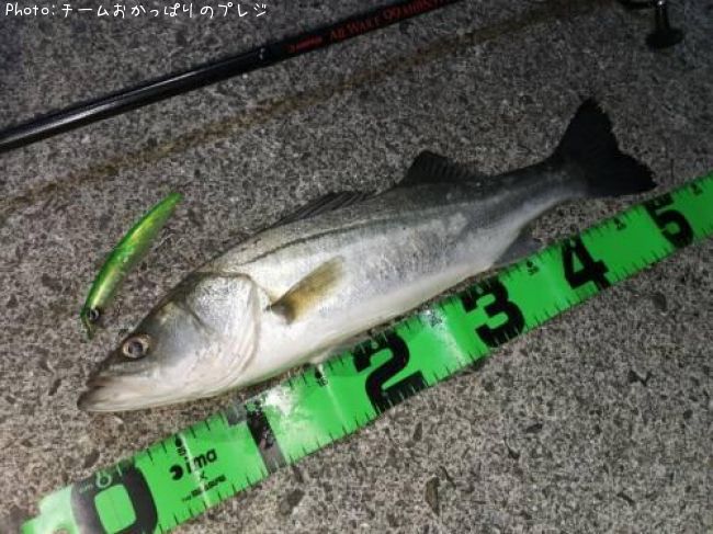 �����Х�