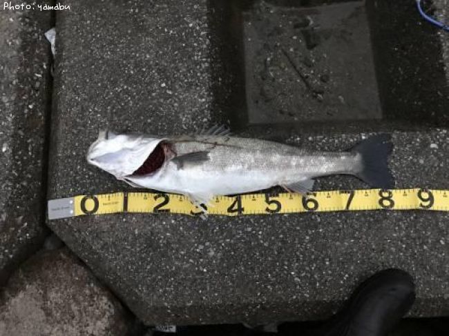 �����Х�