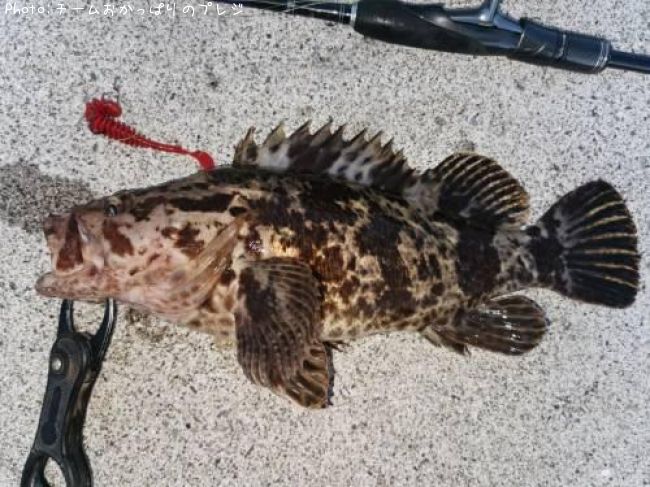 �����Υ���Х�