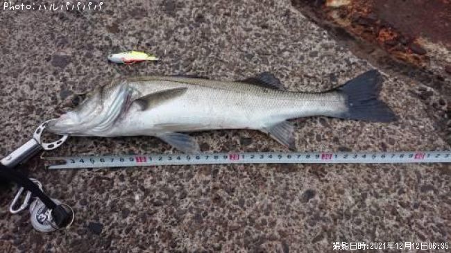 �����Х�