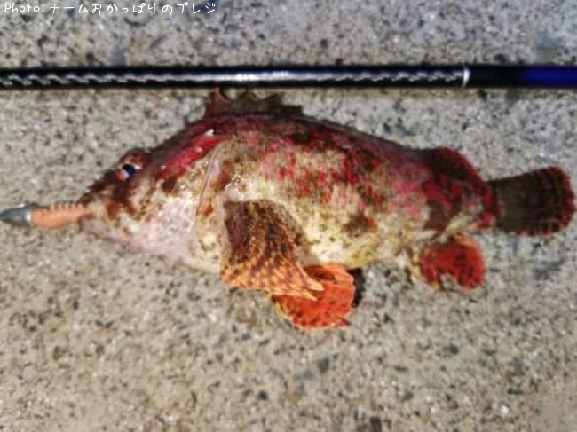 �������Х�