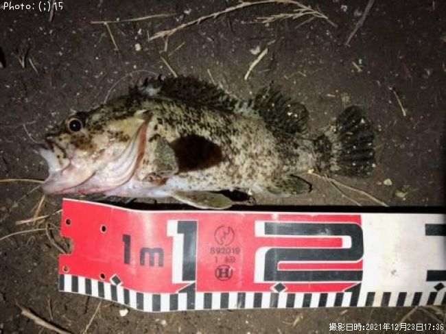 �������������