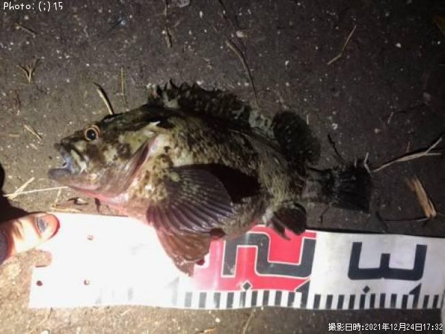 ����������������