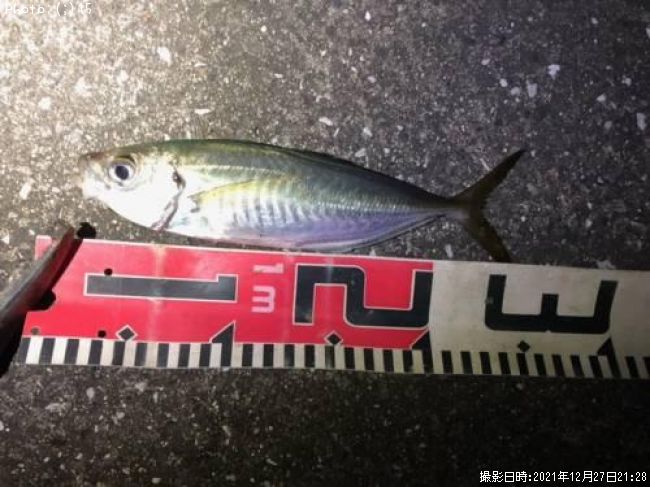 ��������Х�