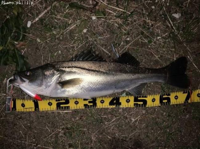 �����Х�