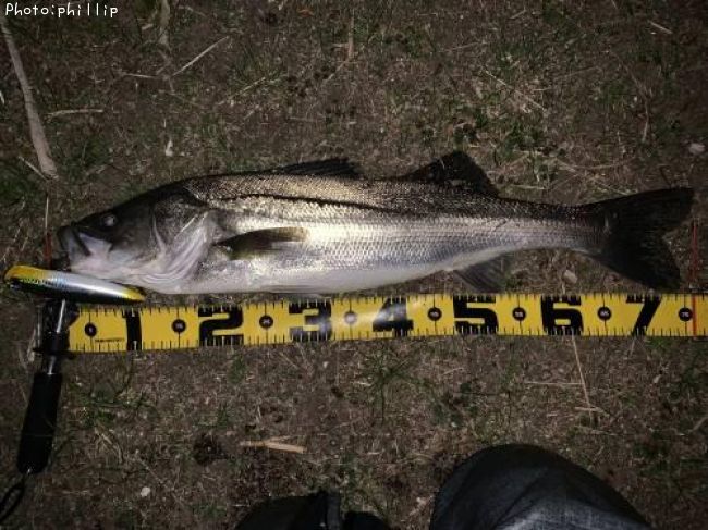 �����Х�