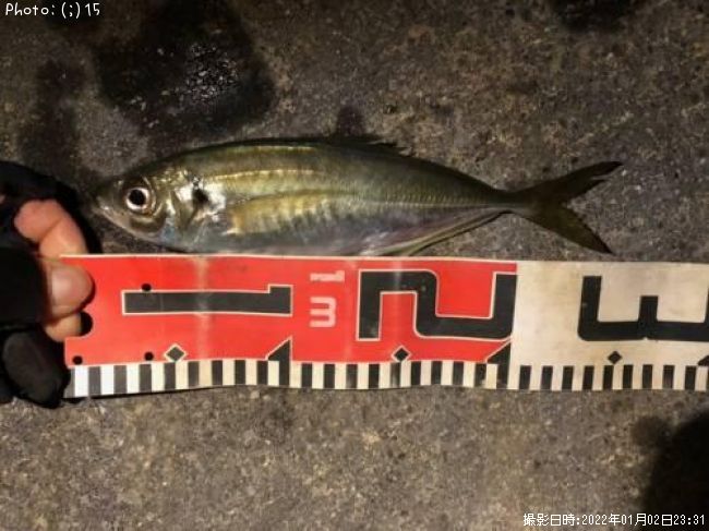 ��������Х롢������