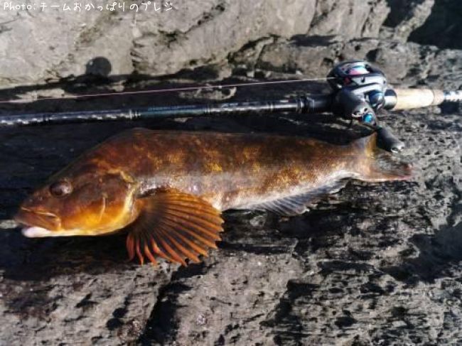 �����ʥ�