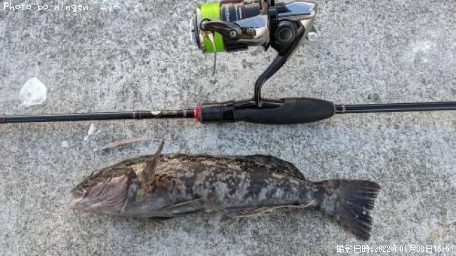 �����ʥ�