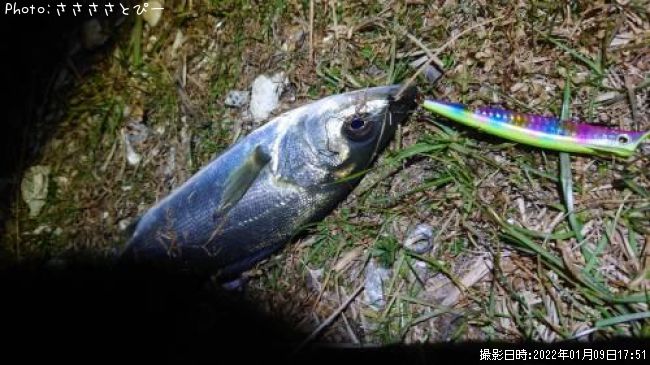 �����Х�����Х�