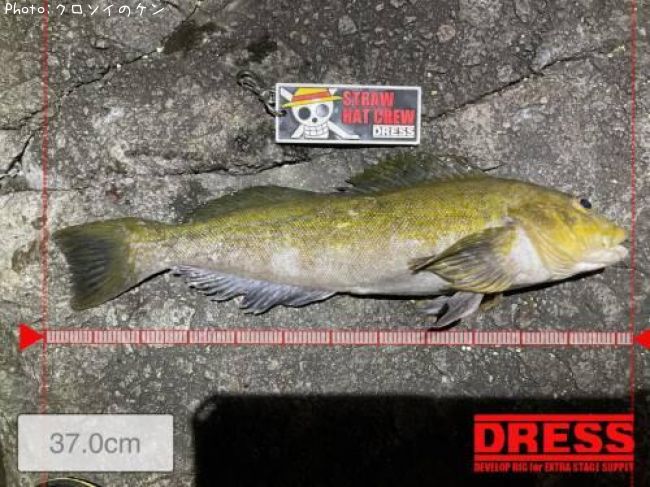 �����ʥ�