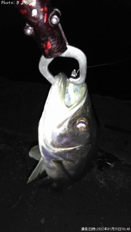 �����Х�