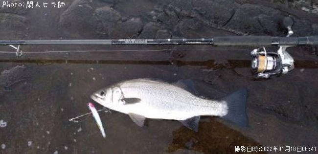 �ҥ饹����