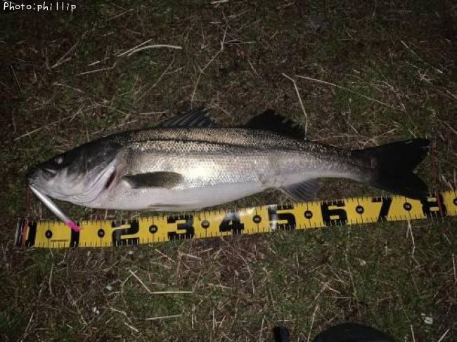 �����Х�