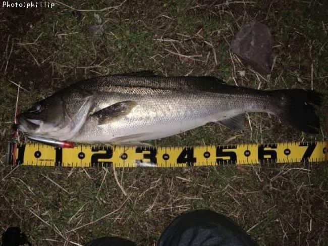 �����Х�