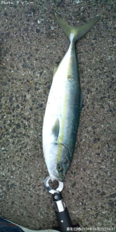 �䥺