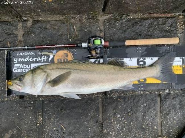 �����Х�