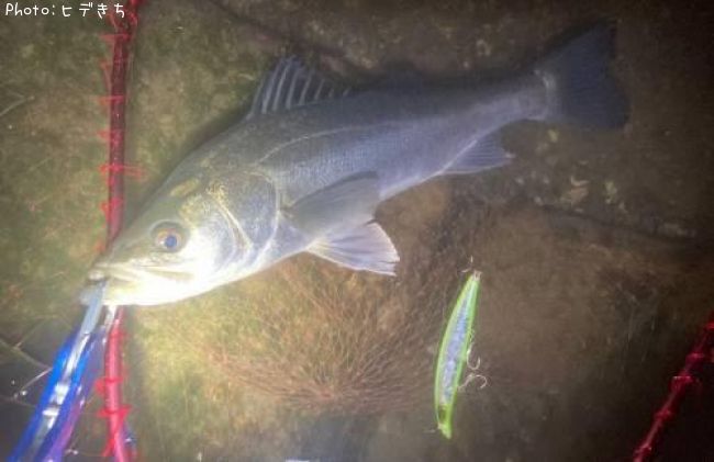 �����Х�