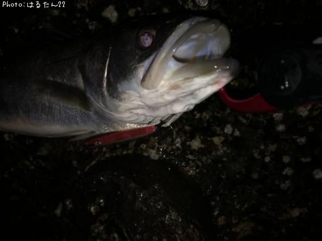 �����Х�