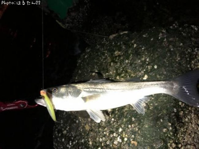 �����Х�