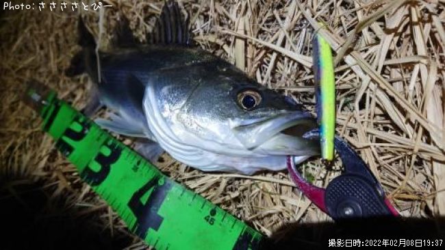 �����Х�