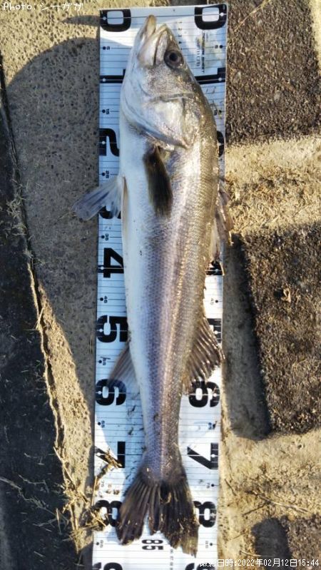 �����Х�