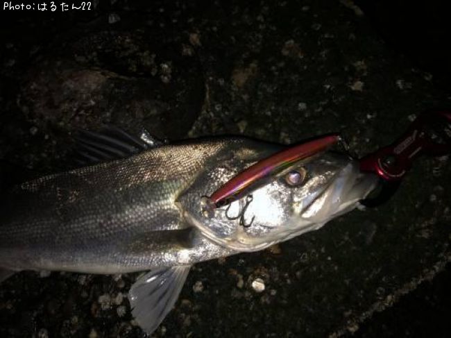 �����Х�