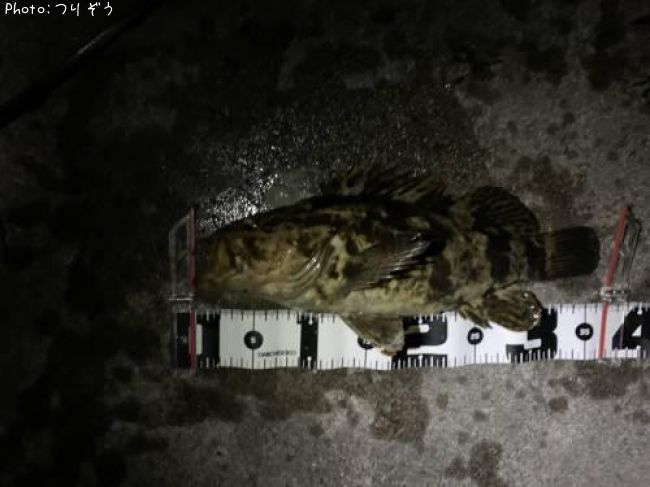 �٥å�������