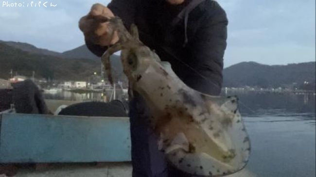 �����ꥤ��