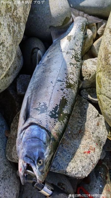 ������ޥ�