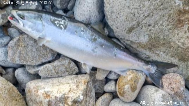 ������ޥ�