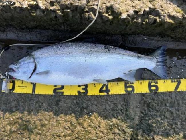 ������ޥ�