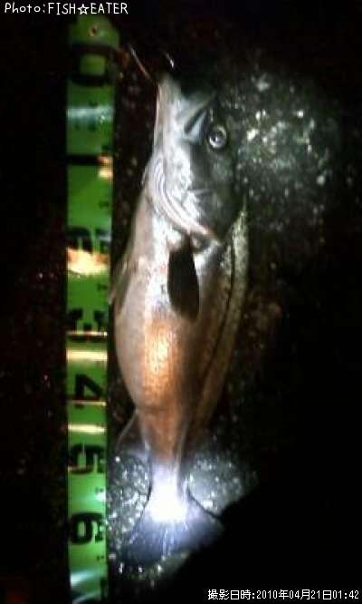 �ޥ륹����