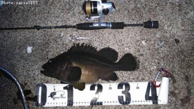 ���ޥ���