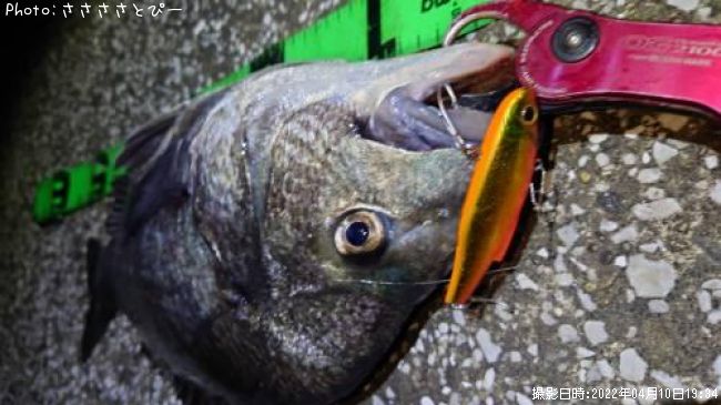 ���������������Х�