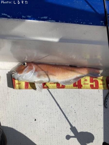 ���ޥ���