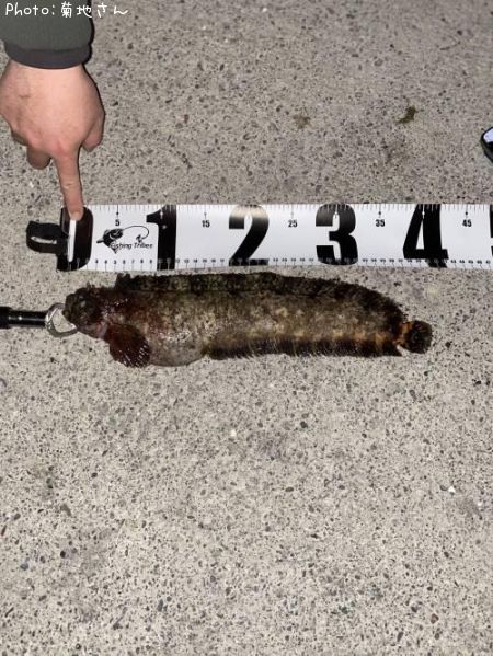 �ե������