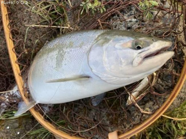 ������ޥ�