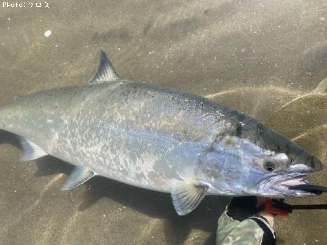 ������ޥ�