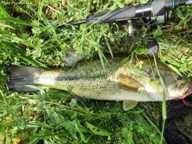 �֥�å��Х�