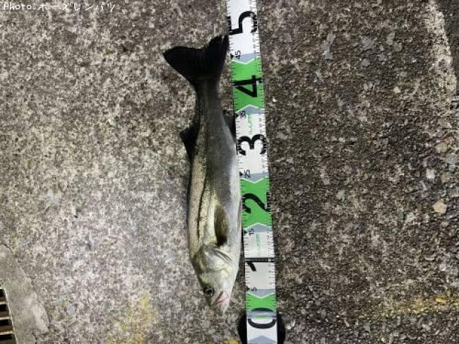 �����Х���