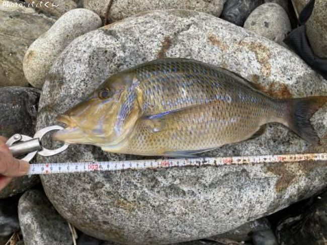 �ե��ե�����