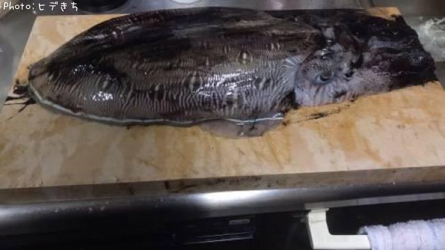 ��󥴥�����