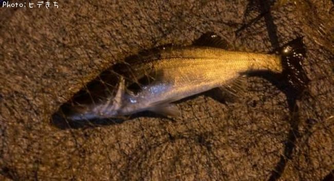 �����Х�