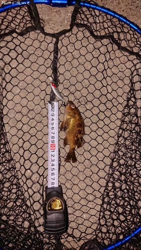 ������Х�