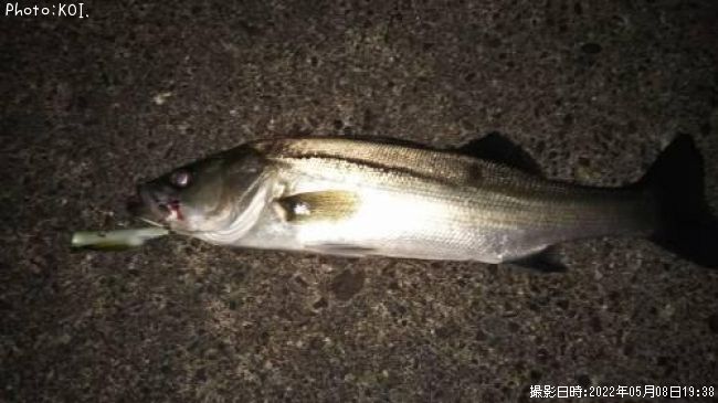 �����Х�