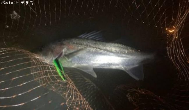 �����Х�