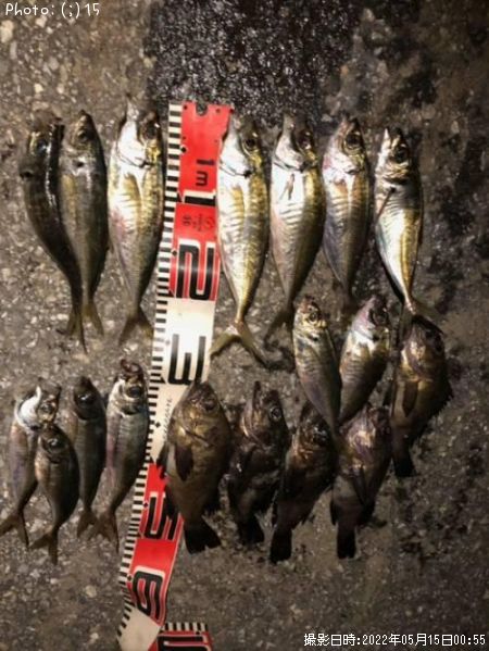 ��������Х�