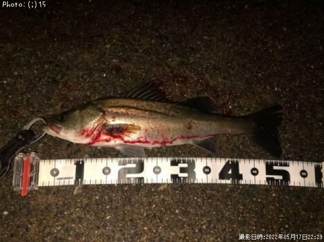 �����Х�