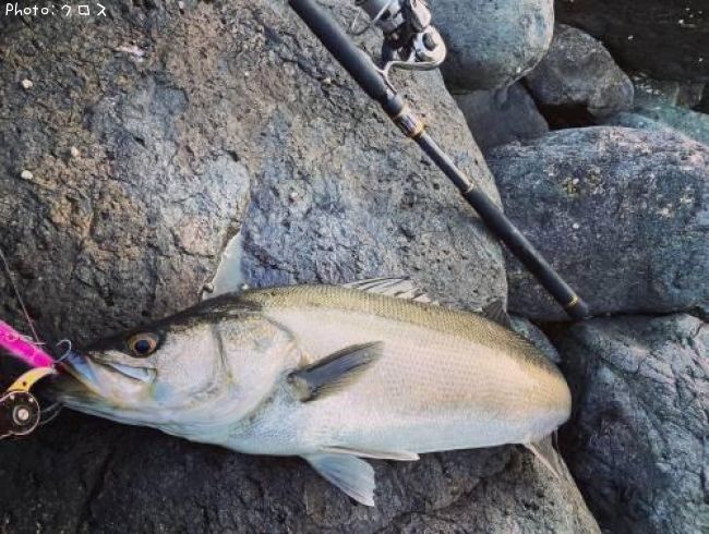 �����Х�